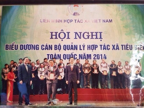 Đặc sắc hương cốm chè Shan Tuyết Nà Chì Xín Mần - Hà Giang