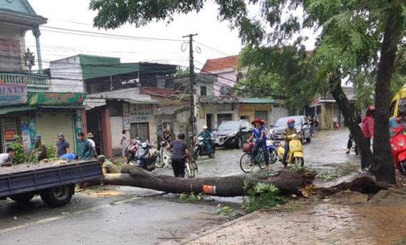 Chùm ảnh tan hoang sau bão số 2