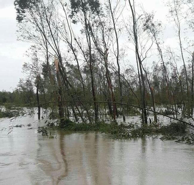 Quảng Bình tan hoang sau bão