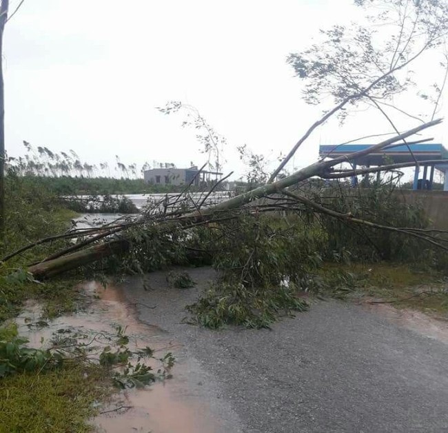 Quảng Bình tan hoang sau bão