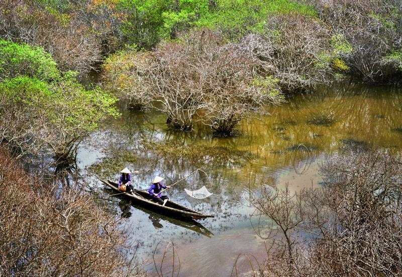 Triển lãm ảnh “Hương sắc trăm miền năm 2017” diễn ra từ ngày 3 - 7/11/2017