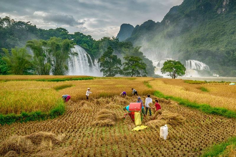 Triển lãm ảnh “Hương sắc trăm miền năm 2017” diễn ra từ ngày 3 - 7/11/2017