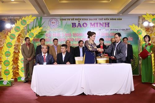 Bảo minh - Nơi hội tụ gạo ngon Đát Việ