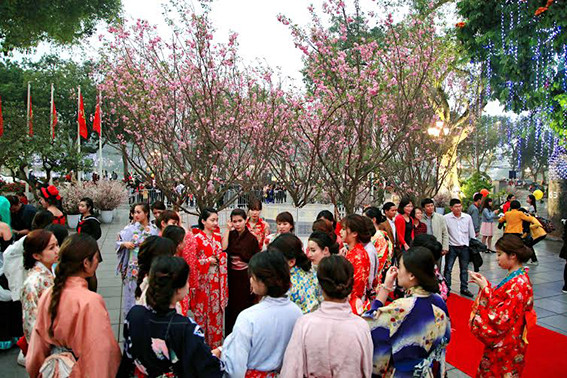 Trải nghiệm văn hóa Nhật Bản qua lễ hội giao lưu văn hóa