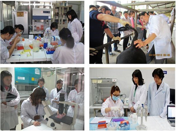 Ngành Chăn nuôi và Thú y  - hai trong những ngành học tiềm năng tại Học viện Nông nghiệp Việt Nam