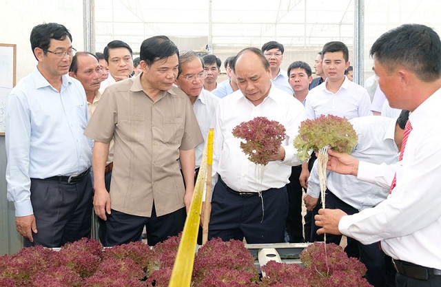 Thủ tướng chủ trì Hội nghị thúc đẩy đầu tư vào nông nghiệp
