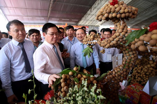 Phó Thủ tướng Vương Đình Huệ dự Hội nghị xúc tiến thương mại nhãn lồng và nông sản 2018