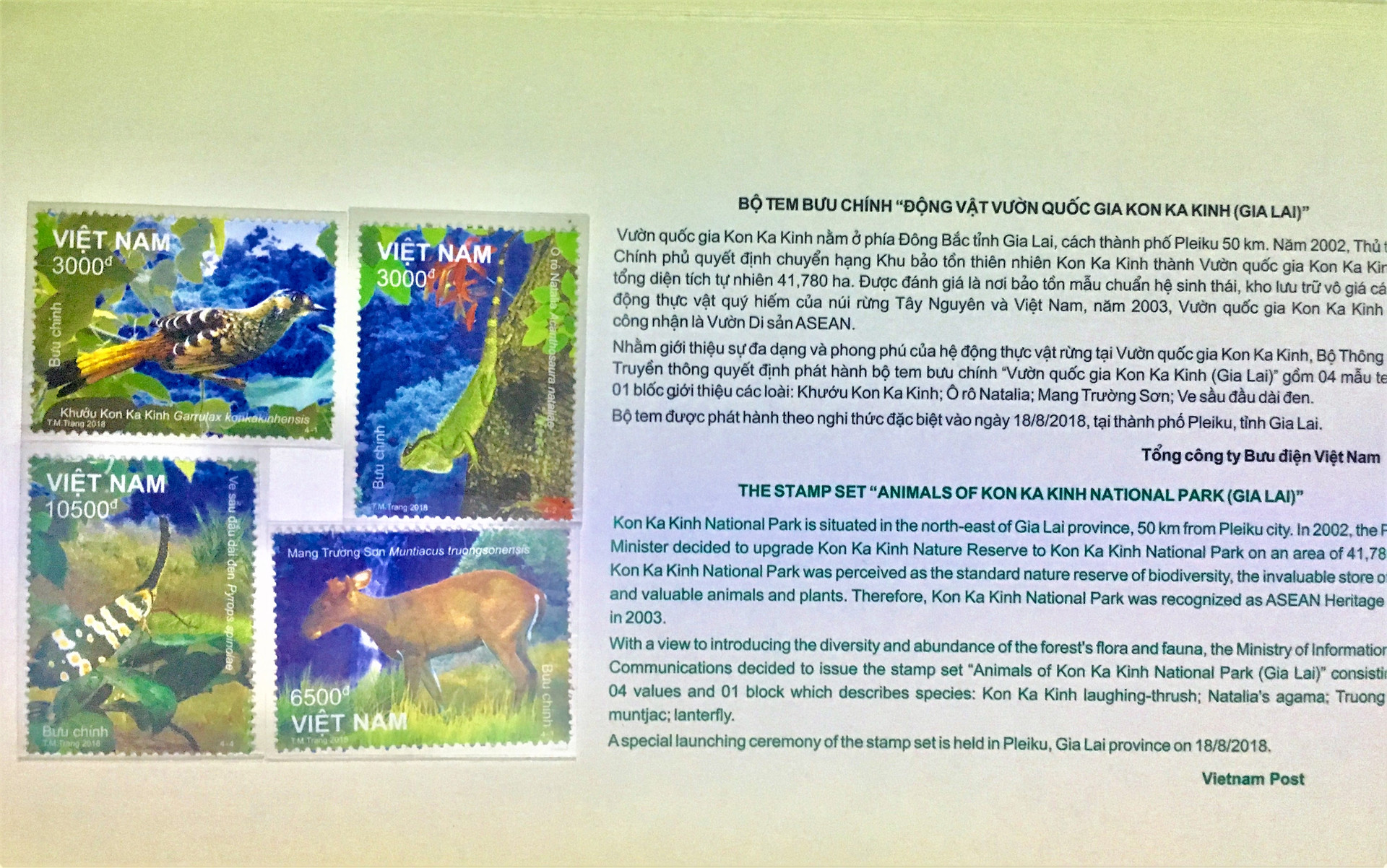 Phát hành bộ tem đặc biệt “Động vật Vườn quốc gia (VQG) Kon Ka Kinh”