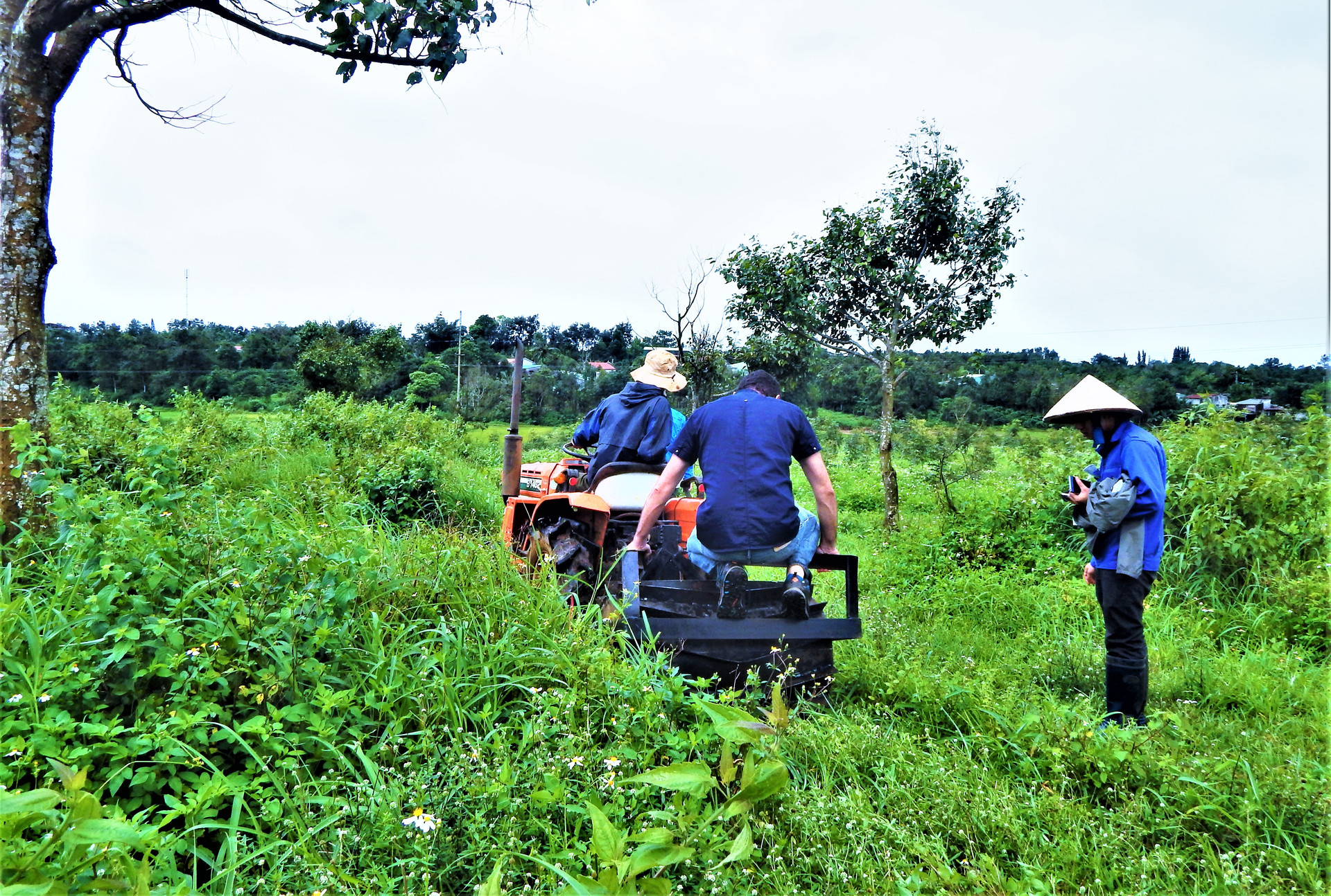 Cách làm nông nghiệp lạ lùng của Việt kiều Pháp tại Tây Nguyên