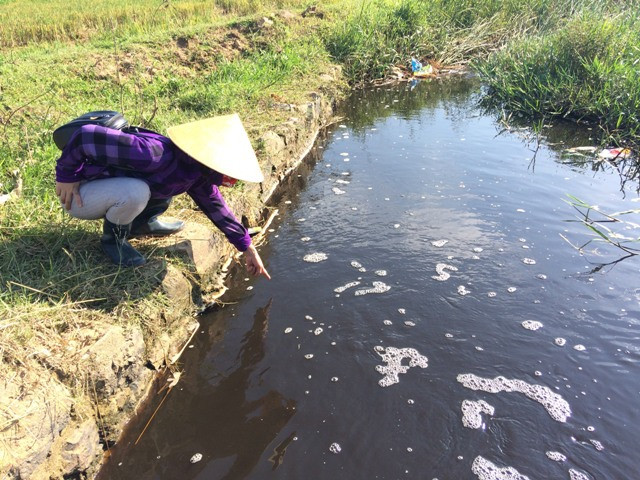 Hà Tĩnh: Xuất hiện cá chết dọc tuyến kênh T9 trên địa bàn huyện Can Lộc