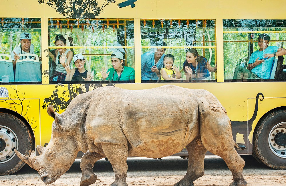 “3 Lý do chọn “Hành trình mùa thu” Vinpeal Discovery cho kỳ nghỉ”.