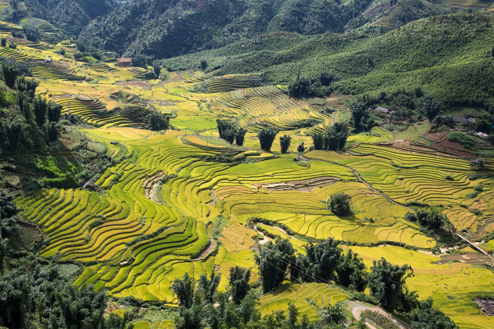 Hoàng Liên Sơn, Sa Pa lọt Top 28 Điểm đến hấp dẫn nhất thế giới năm 2019 của tạp chí National Geographic, Mỹ .