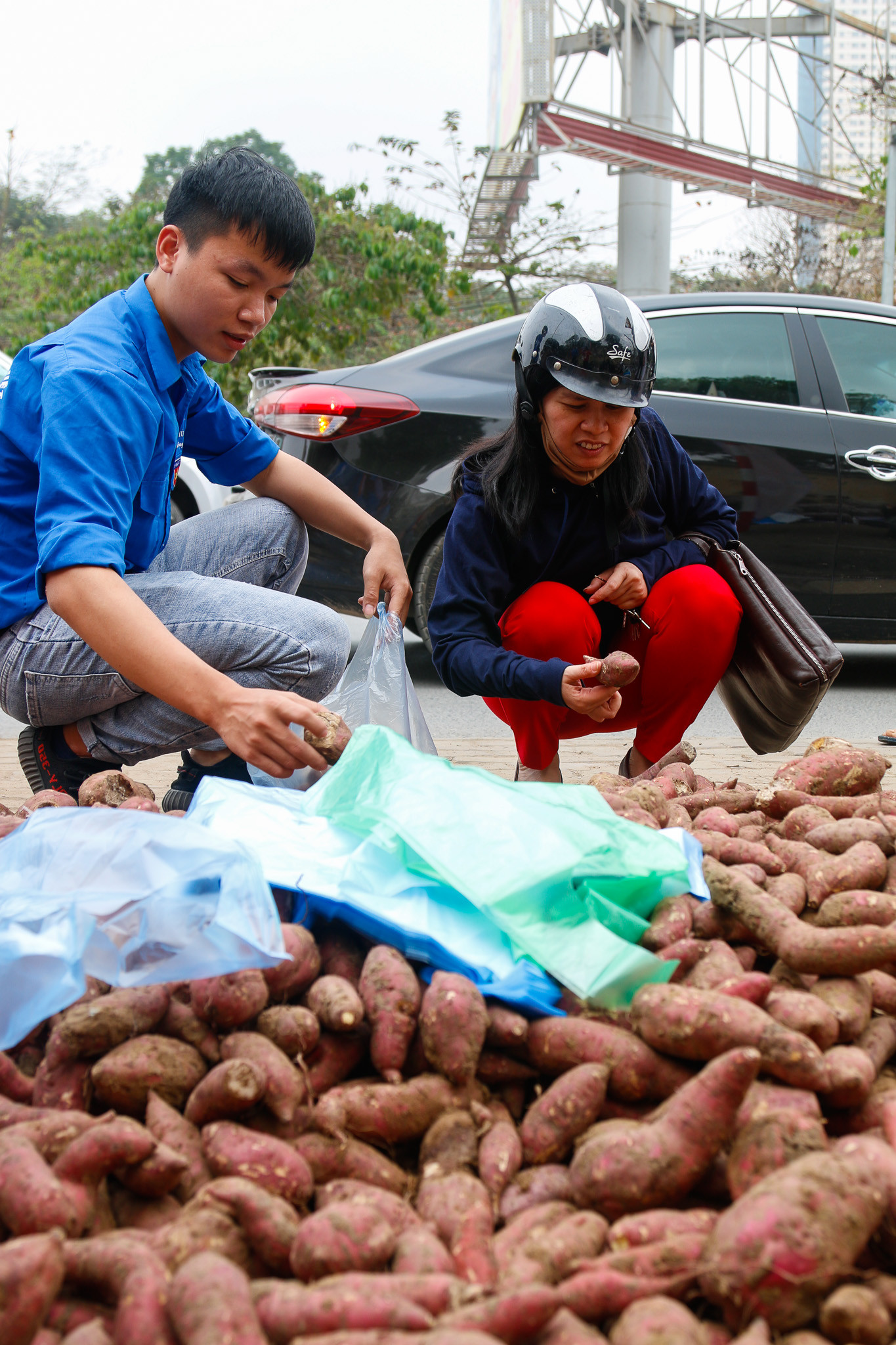 Cộng đồng tình nguyện Việt Nam và chiến dịch “Khoai lang nghĩa tình” tại Hà Nội