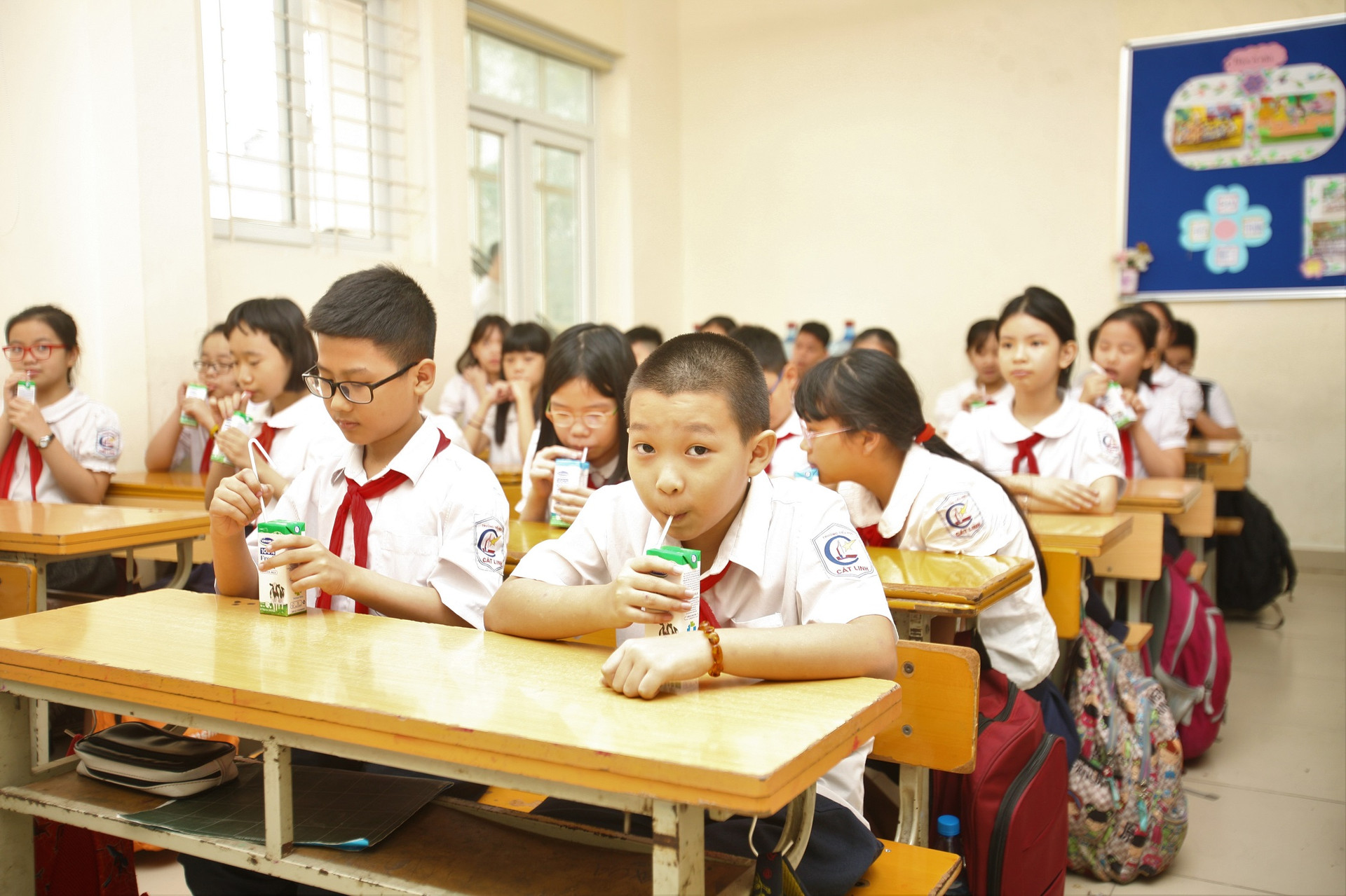 Sữa học đường Hà Nội: Quyết liệt làm tốt từ những ngày đầu triển khai.
