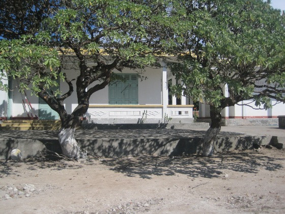 Khoảnh khắc Trường Sa: Kỳ 2 - Cây trên đảo