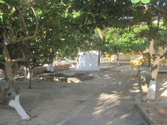 Khoảnh khắc Trường Sa: Kỳ 4 - Sức sống trên đảo Sinh Tồn