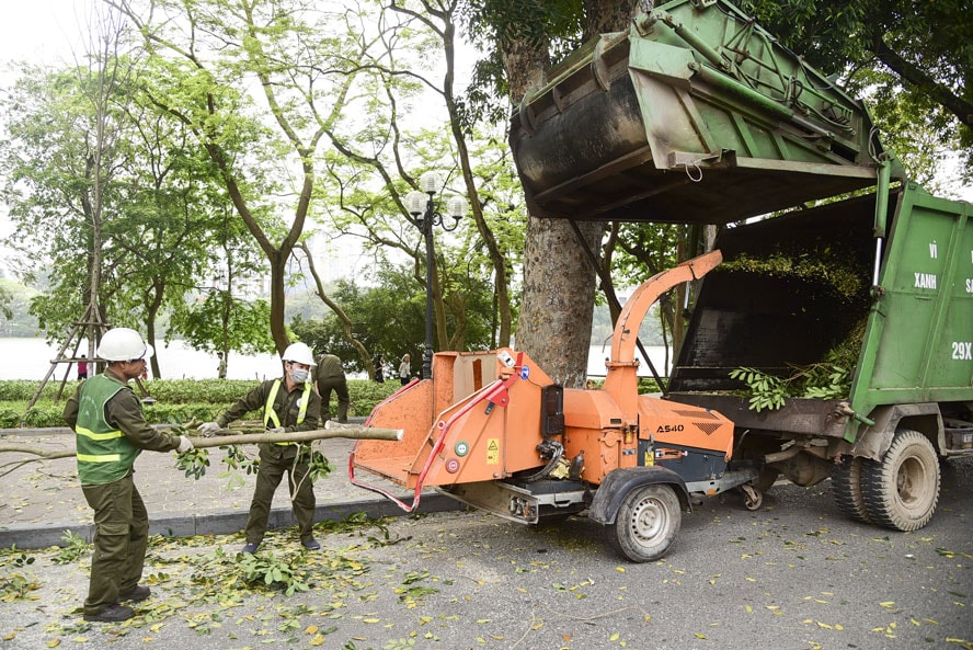 Giảm nỗi lo cây xanh gãy, đổ trong mùa mưa bão