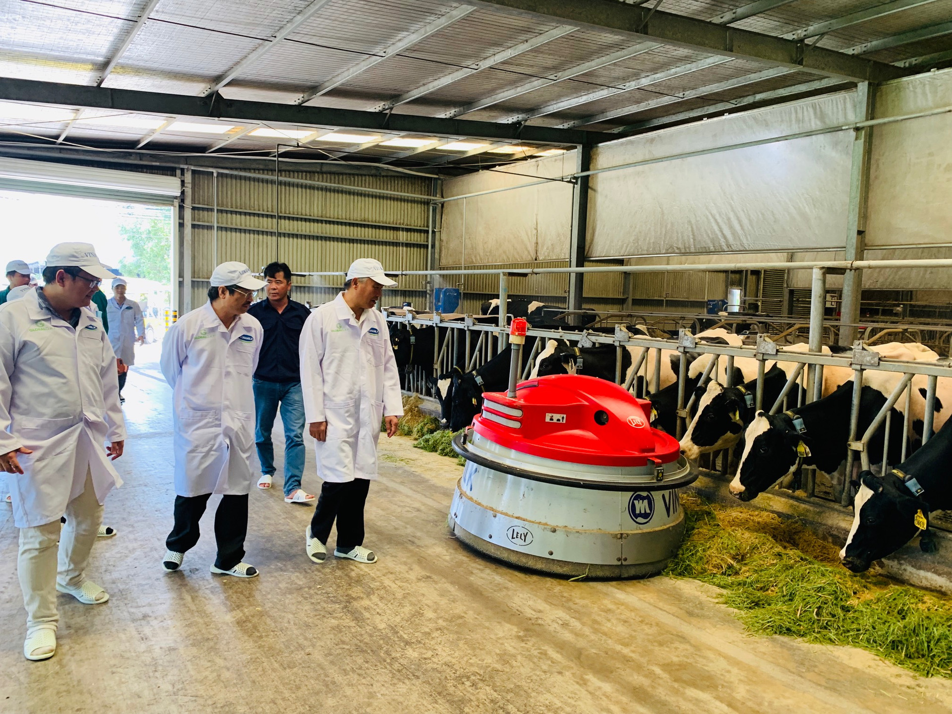 Trang trại bò sữa Vinnamilk trên toàn quốc sẽ là các hạt nhân để xây dựng an toàn dịch bệnh theo quy định quốc tế