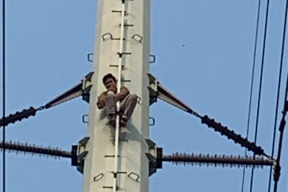 Hà Đông, Hà Nội: Giải cứu nam thanh niên nghi 'ngáo đá' leo lên cột điện