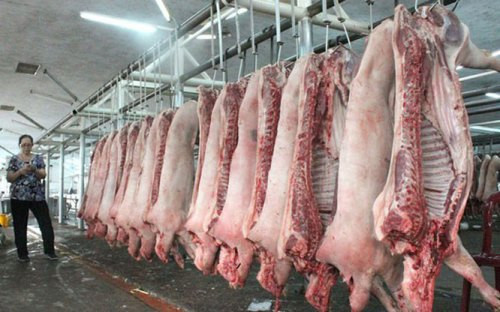 Giá thịt lợn phía Nam vẫn ở mức cao