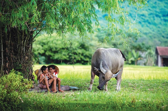 Lưng chừng tháng Bảy