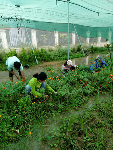 Xã Đông Hội, huyện Đông Anh: Hội Phụ nữ tích cực sáng tạo