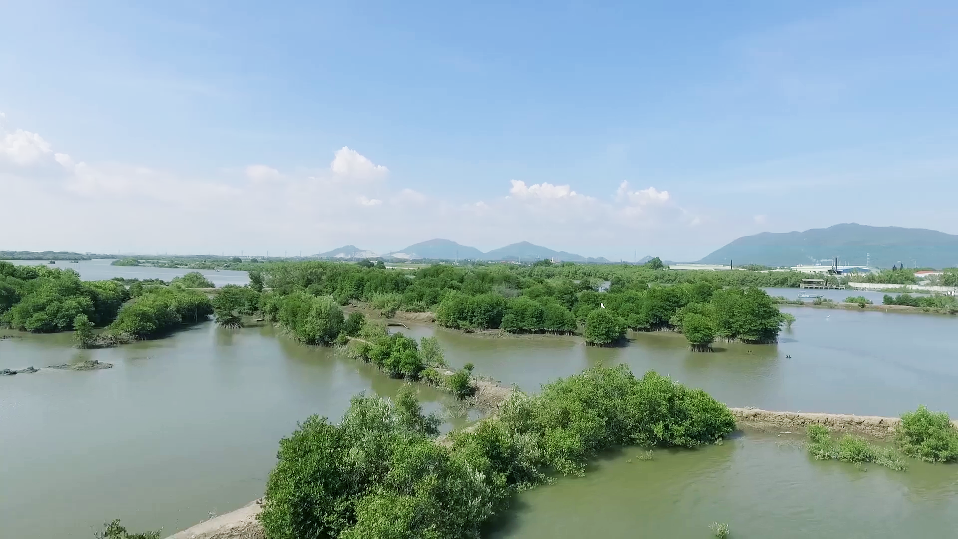 Mạng xã hội bỗng chốc “xanh rì” với chiến dịch “Triệu cây vươn cao cho Việt Nam xanh”