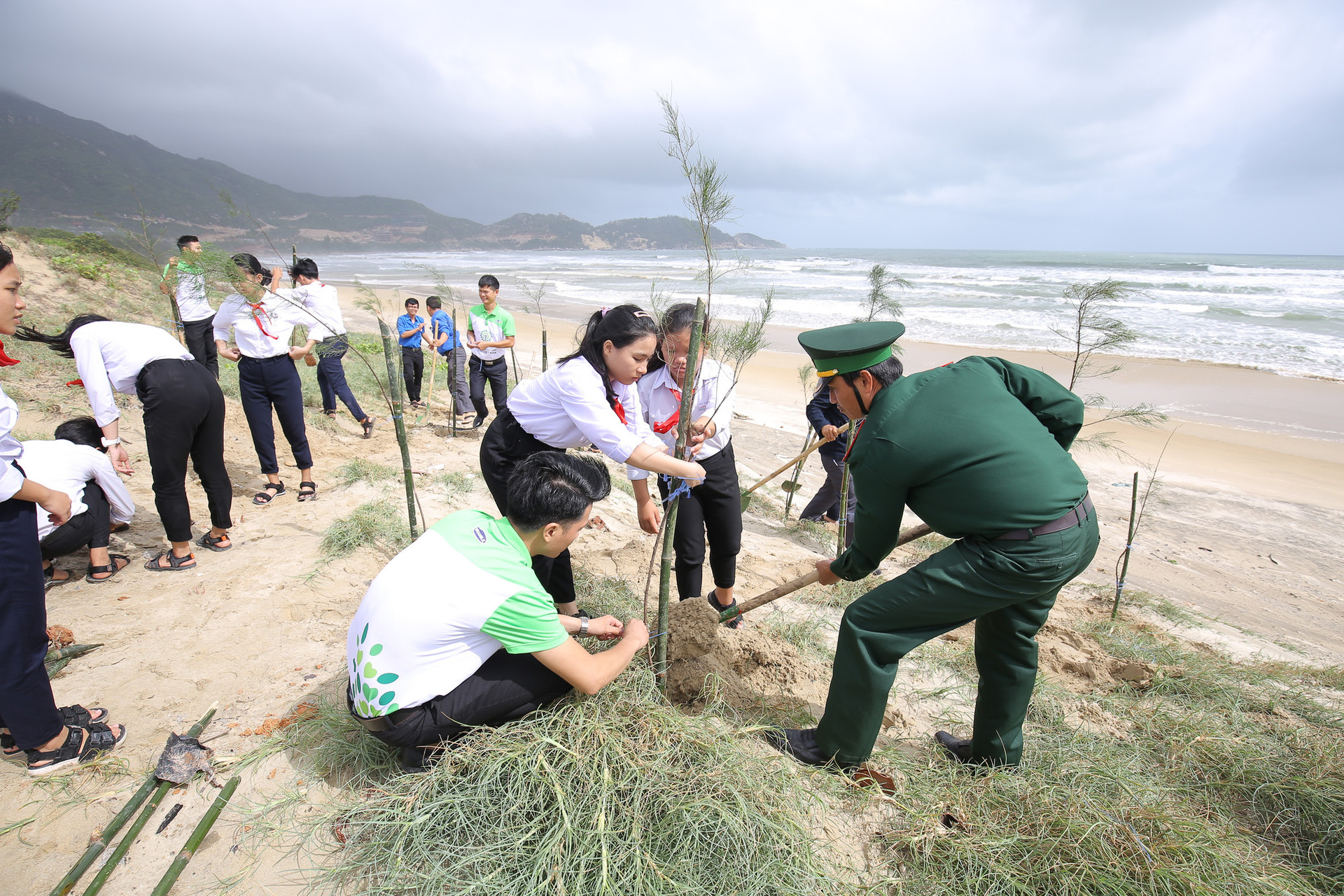 Mạng xã hội bỗng chốc “xanh rì” với chiến dịch “Triệu cây vươn cao cho Việt Nam xanh”