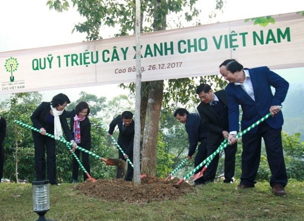Vinamilk chung tay cùng người dân vừa trồng cây gây rừng, vừa tạo sinh kế