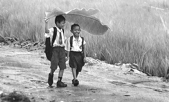 Làng kháng chiến và đón mừng hòa bình lập lại năm 1954