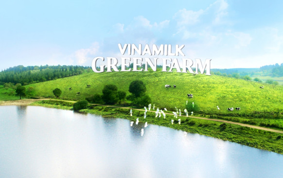 Chuyện “hậu trường” tìm hiểu “lý lịch” của dòng sữa tươi Green Farm mới đang khiến các mẹ tò mò