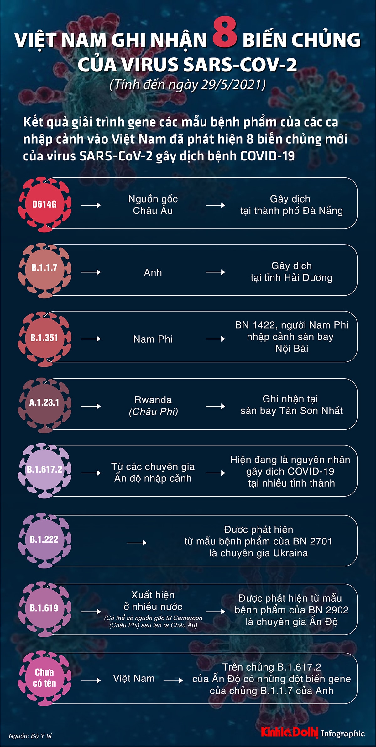 (Infographic) Việt Nam ghi nhận 8 biến chủng của virus SARS-CoV-2