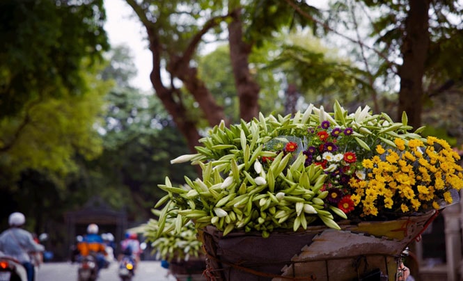 Những xe hoa chở mùa qua phố