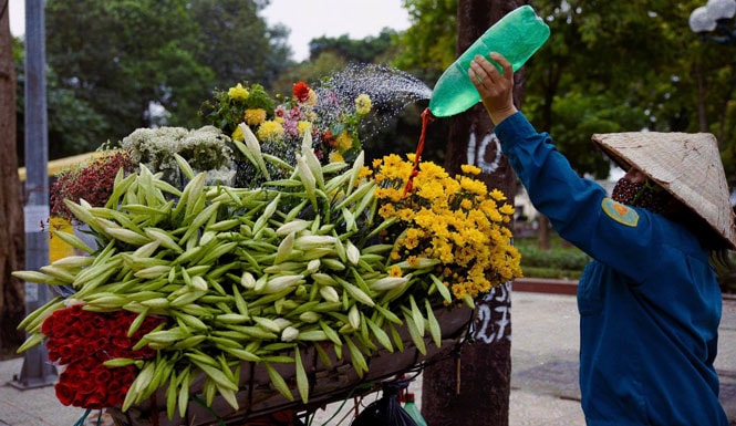 Những xe hoa chở mùa qua phố