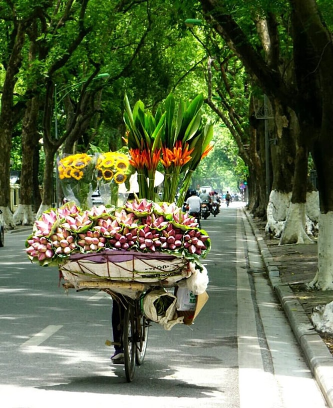 Những xe hoa chở mùa qua phố