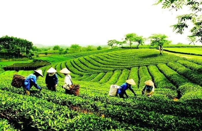 Một bài ca sâu lắng về “Thủ đô gió ngàn”