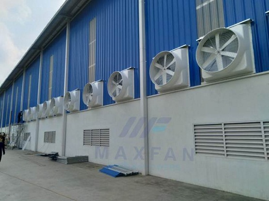 Maxfan - Chuyên Quạt Hút Trang Trại, Máy Làm Mát Không Khí
