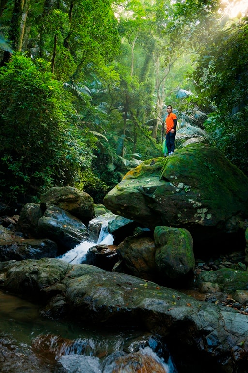 Quảng Bình: Khám phá tour trải nghiệm thiên nhiên hùng vĩ và hiếm có ở Việt Nam