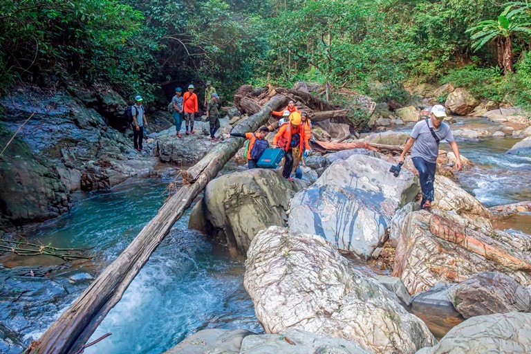 Quảng Bình: Khám phá tour trải nghiệm thiên nhiên hùng vĩ và hiếm có ở Việt Nam