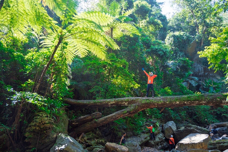 Quảng Bình: Khám phá tour trải nghiệm thiên nhiên hùng vĩ và hiếm có ở Việt Nam