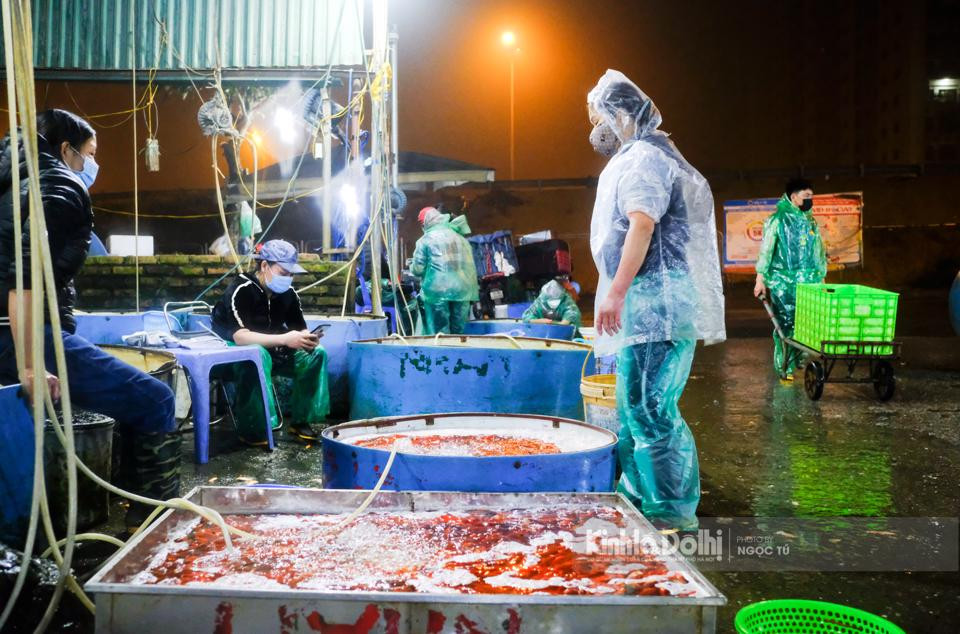 Theo ghi nhận của phóng viên Kinh tế & Đô thị trước ngàycúng ông Công ông Táo tại chợSở Thượng (phườngYên Sở, quận Hoàng Mai), hàng tấn cá chép đỏ, chép vàng đổ về để phục vụ nhu cầu của người dân.