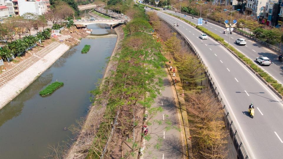 Những ngày đầu tháng 3, bàng lá nhỏ đã bắt đầu rụng lá trên các cung đường của Thủ đô Hà Nội. Trong tiết trời nắng đẹp chuyển mùa của miền Bắc, những cây bàng ngả màu vàng rực khiến nhiều người dân thích thú.