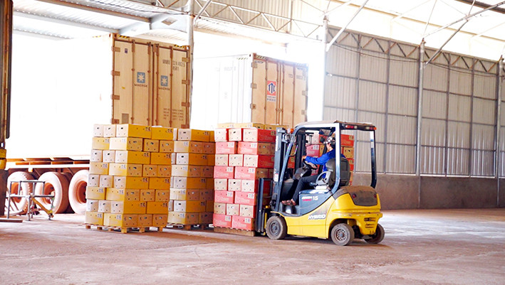 Giải pháp Logistics qua cửa khẩu quốc tế Nam Giang cho doanh nghiệp Viêt,Lào