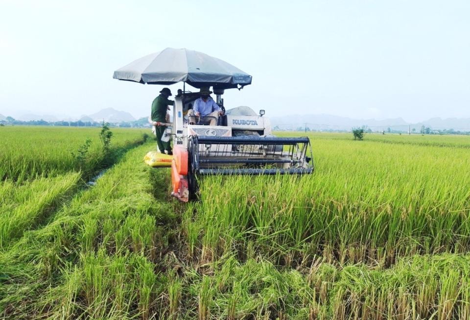 Cơ giới hóa là giải pháp trọng tâm nhằm phát triển nông nghiệp của Hà Nội theo hướng hàng hóa. Ảnh: Lâm Nguyễn.