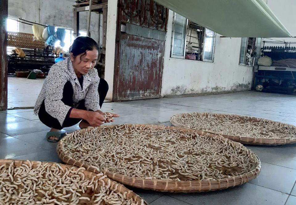 Công đoạn chăn tằm