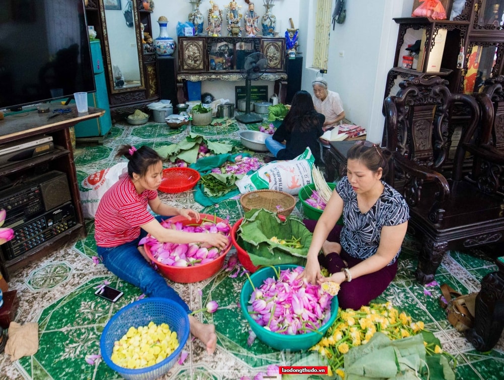 Người dân Tây Hồ bận rộn vào mùa làm trà sen