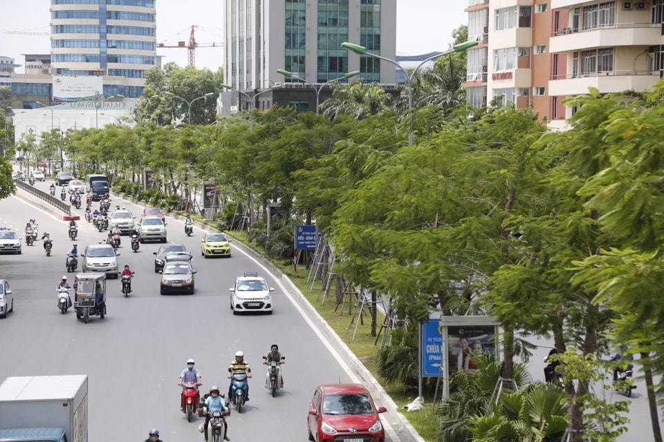 Hàng cây xanh trên phố Xã Đàn. Ảnh: Nguyễn Linh