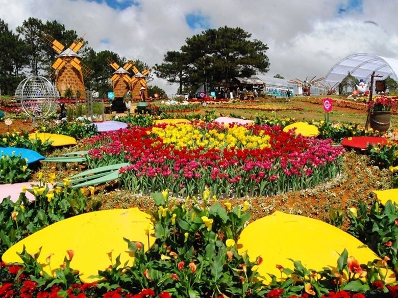hoa-dalat(1).jpg