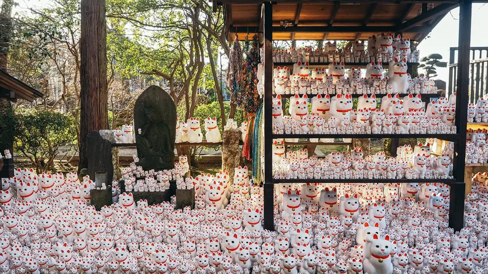 Ngôi đền Gotokuji yên tĩnh nằm ở ngoại ô Tokyo chính là nơi hoàn hảo cho những người yêu mèo quan tâm đến văn hóa và lịch sử Nhật Bản