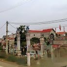 thuong-tri.jpg